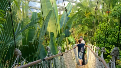 File:Zoo leipzig gondwanaland.jpg - Wikimedia Commons