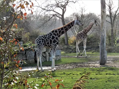 A Family-Friendly Guide to Zoo Leipzig - tiqets.com