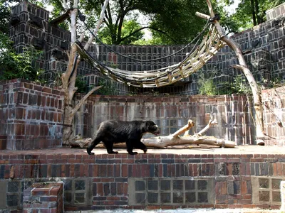 Zoo leipzig hi-res stock photography and images - Alamy