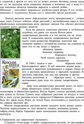 Проект на тему \"Лекарственные растения Краснодарского края\" 3 класс. |  Specialis Artis | Дзен