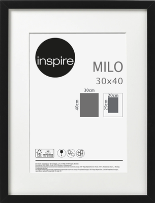 Рамка Inspire Milo, 30х40 см, цвет чёрный по цене 385 ₽/шт. купить в  Новосибирске в интернет-магазине Леруа Мерлен