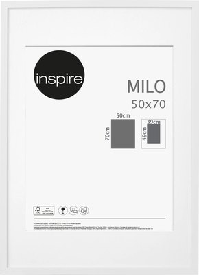 Рамка Inspire Milo 50x70 см цвет белый по цене 953 ₽/шт. купить в Москве в  интернет-магазине Леруа Мерлен