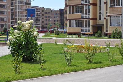 ЖК \"Лесной городок\" Казань, Сувар Холдинг