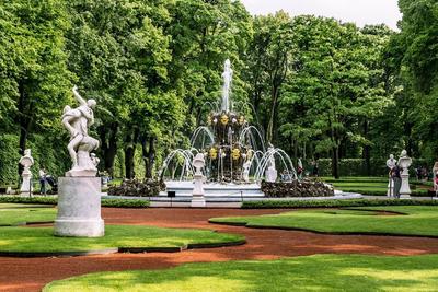 Летний сад в Санкт-Петербурге | Ландшафтная архитектура и зеленое  строительство | Totalarch