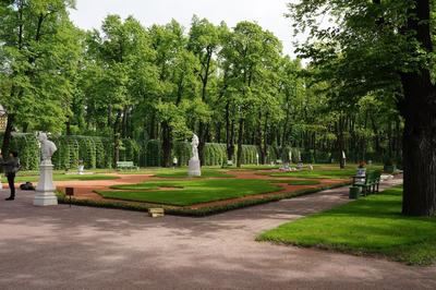Летний сад, Санкт-Петербург - «\"Я к розам хочу, в тот единственный сад, где  лучшая в мире стоит из оград...\" Два времени года в Летнем саду: мой отзыв  об одной из главных достопримечательностей
