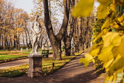 Летний сад в Санкт-Петербурге | История, фото, как добраться