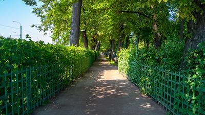 Летний сад, Санкт-Петербург - «Летний сад - один из символов Петербурга  неоднократно воспетый поэтами.» | отзывы