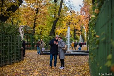 Ворота Летнего сада.. Летний сад. Фото Санкт-Петербурга и пригородов