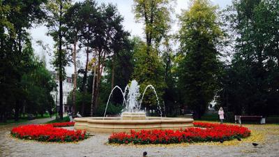 Лядской или Лецкой? Как на самом деле назывался парк в центре Казани |  ЭКСКУРС TV | Дзен