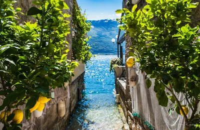 Historic citrus garden - Limone sul Garda, Lake Garda, Italy -  rossiwrites.com - Rossi Writes