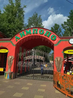 Лето в зоопарке «Лимпопо-2021»
