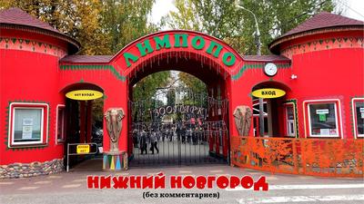 Зоопарк \"Лимпопо\" в Нижнем Новгороде (без комментариев) - YouTube