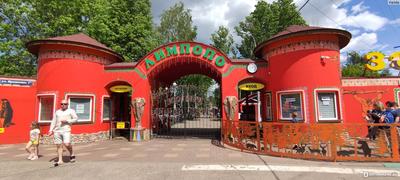 Зоопарк Лимпопо, Нижний Новгород - «Зоопарк Лимпопо в Нижнем Новгороде -  нам с детьми там не понравилось. Хороший парк для людей, но не дом для  животных» | отзывы