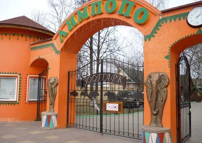 Нижегородский зоопарк \"Лимпопо\" отпразднует свой День рождения 31 июля в Нижнем  Новгороде 30 июля 2022 года | Нижегородская правда