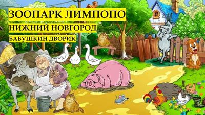 Обзор на зоопарк \"Лимпопо\" в Нижнем Новгороде | Пикабу
