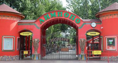 Зоопарк «Лимпопо» снизил цены на билеты в будние дни! — Зоопарк «Лимпопо»  г. Нижний Новгород – Нижегородский зоопарк