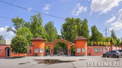 Зоопарк Лимпопо, Нижний Новгород - «Стоит увидеть самому» | отзывы