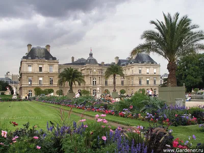 Люксембургский сад в Париже фото