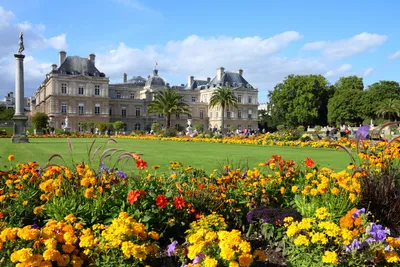 Люксембургский сад (Jardin Du Люксембург) в Париже, Франции Редакционное  Фотография - изображение насчитывающей центр, трава: 45783117