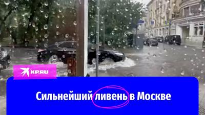 Непогода в Подмосковье: в области бушуют дождь, град, молнии, потоп | Москва  | ФедералПресс