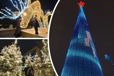 Это точно Новосибирск? Красивые локации для зимних фотосессий в декабре  2022 - KP.RU