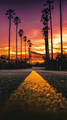 Фото Лос Анджелес, закат, Los Angeles, California, road, palms, sunset, 4K,  Фото #19729 - Страница 10
