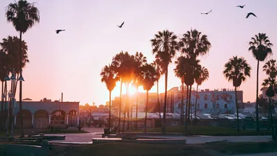городской пейзаж в лос анджелесе в сумерках, Лос Анджелес красивая  картинка, Калифорния, Лос Анджелес фон картинки и Фото для бесплатной  загрузки