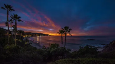 картинки : пляж, дерево, океан, утро, Калифорния, Ла, Лос-Анджелес,  Venicebeach 3653x2435 - - 333894 - красивые картинки - PxHere