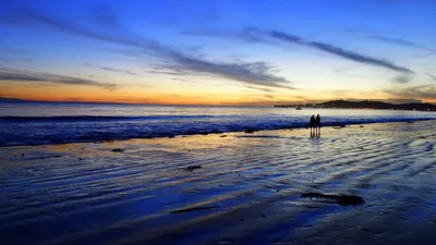 Скачать обои пляж, пальмы, океан, Калифорния, США, Лос Анджелес, Санта  Моника, раздел город в разрешении 1600x900