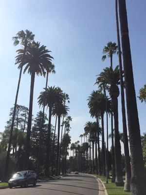 Лос-Анджелес (округ)» — фотоальбом пользователя love_razum на Туристер.Ру