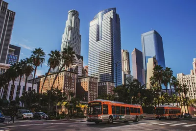 Обычные улицы Лос-Анджелеса в феврале | Пикабу