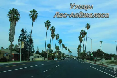 В Лос-Анджелесе без машины