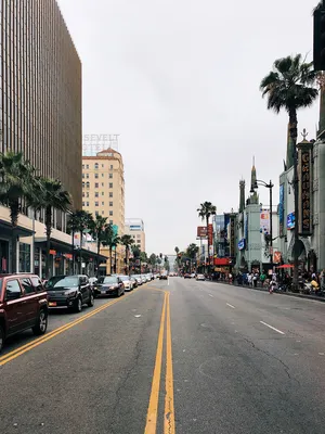 Картинка Улицы Лос-Анджелеса » Лос-Анджелес » Города » Картинки 24 -  скачать картинки бесплатно
