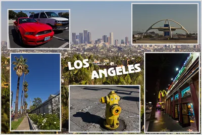 Лос-Анджелес возглавил список городов с самым загрязненным воздухом -  ForumDaily