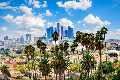 Лос-Анджелес (Калифорния) - Лучшие курорты - США - Поиск попутчиков с  Triplook