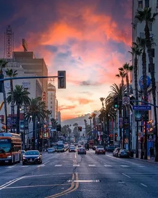 Как добраться до знака Hollywood в Лос-Анджелесе: маршруты и полезные  советы - ForumDaily