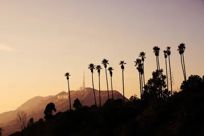Известный Голливуд подписывает внутри Лос-Анджелес, Калифорния Редакционное  Стоковое Фото - изображение насчитывающей хайвей, побережье: 152318873