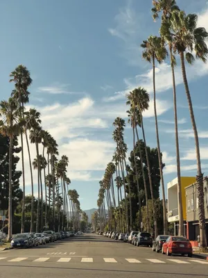 Понять Лос-Анджелес: город, люди, достопримечательности, образ жизни slow  travel • Slow Soul