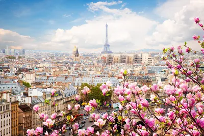 Достопримечательности Парижа: Эйфелева башня, Нотр-Дам-де-Пари, площадь  Бастилии, Елисейские поля, Монмартр.