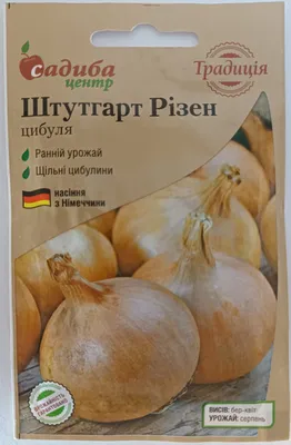 Продам лук Штутгарт для выгонки пера, купить лук Штутгарт для выгонки пера,  Черкасская обл — Agro-Ukraine