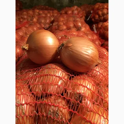 Лук-севок Штуттгартер Ризен 1 кг, стабильная урожайность в любое лето,  высокое качество и вызреваемость луковиц после уборки,