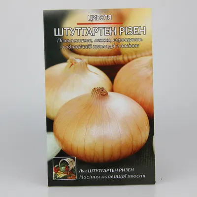 Лук Штутгартер Стенфилд Onion Stuttgarter Stanfield - купить лук севок  (тыканка) и чеснок с доставкой по Украине в магазине Добродар