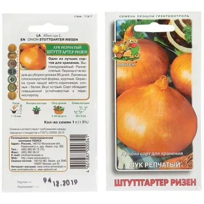 Купить Лук севок Штуттгартер Стэнфилд (10-21мм) Нидерланды в Минске