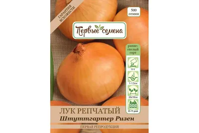 ШТУТГАРТЕР / SHTUTGARTER — лук репчатый, Hortus купить в Украине - цена,  фото, отзывы | Agrolife