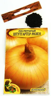 Лук репчатый Штуттгартер Ризен 200% NEW 2г купить недорого в  интернет-магазине товаров для сада Бауцентр