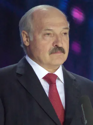Появились результаты ПЦР-тестов Лукашенко и его сына, сделанные для встречи  с Путиным / NV