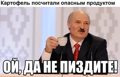 Мемы с Лукашенко со встречи с Путиным - лучшие видео | Стайлер