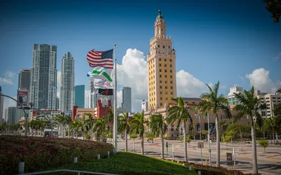 Вид С Воздуха На Центр Майами Флорида — стоковые фотографии и другие  картинки Майами - Майами, Флорида - США, Линия горизонта - iStock