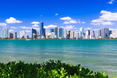 Chiropractor Miami FL | Miami Spine Clinic