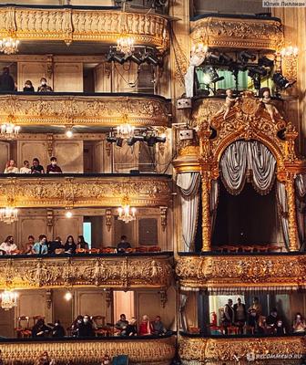 Мариинский театр потратит на перевозку школьников более 13 млн рублей